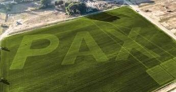 180 metri di pace, quando il prato diventa messaggio universale