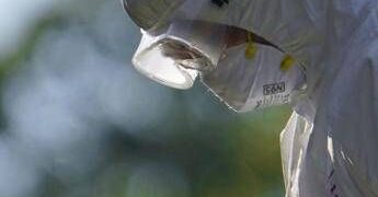 Aviaria, l’allarme dell’Ecdc: “In Europa più rischi per l’uomo”, cosa sta succedendo