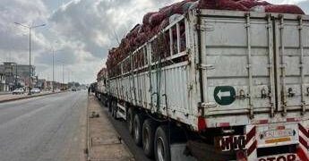 Benin, militari annunciano golpe. Ma fonti vicine al presidente: “Esercito regolare sta riprendendo il controllo”