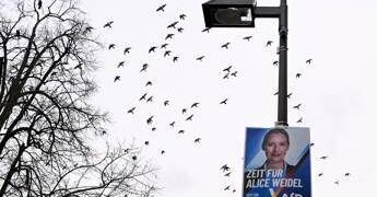 Germania, Afd primo partito: il sondaggio premia l’estrema destra