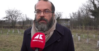 KilometroVerdeParma, più alberi diffusi in città per combattere caldo e cemento