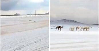 L’Arabia Saudita ‘riscopre’ la neve, primi fiocchi dopo 30 anni