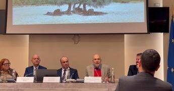 ‘L’Olio come civiltà’: presentata la nuova guida ‘L’Olio – Itinerari tra uliveti, paesi e sapori locali. Sud Sardegna e Oristanese’