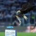 Lazio, debutta all’Olimpico la nuova aquila: primo volo per Flaminia
