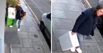 Londra, mistero della ‘ladra di langoustine’: rubati crostacei, manzo e orchidee rare