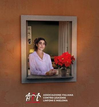 Lotta alle leucemie, tornano le stelle di Natale Ail per la ricerca