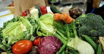 Microbioma alleato contro il mieloma: “Dieta ricca di fibre può frenarlo”