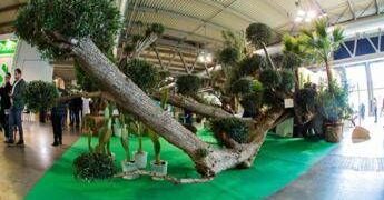 Myplant&Garden, X edizione dal 18 al 20 febbraio 2026 a Fiera Milano Rho