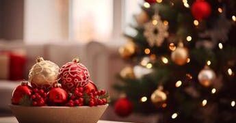 Natale, addobbi sicuri per bimbi e animali? Dalle decorazioni alle luci ecco cosa fare