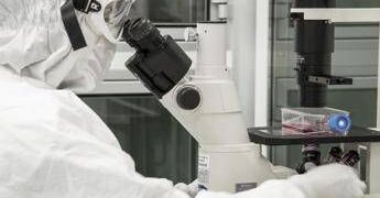 Nuovi virus creati con l’intelligenza artificiale: “E’ una svolta per produrre farmaci e terapie”