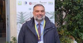 Tabacco, De Carlo (FdI): “Fronte comune sulla Pac in Parlamento a sostegno agricoltori”