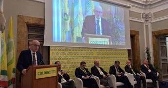 Tabacco, Rapporto Maciste: per mercato illecito rapida trasformazione digitale