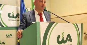 Unesco, Grillo (Turismo Verde-Cia): “Vince semplicità in cucina, anche grazie ad agriturismi”