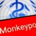 Vaiolo delle scimmie, Oms: “Mpox continua a circolare, a novembre 2.150 casi e 5 morti”