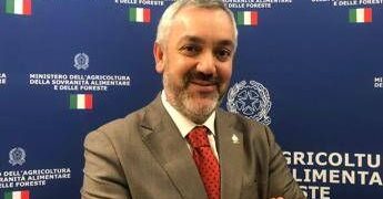 Ballinari (Miele Varesino Dop): “Dieci anni di lavoro per riconoscimento dop”