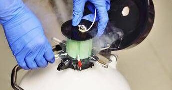 Cancro seno, 1 donna su 4 sceglie la crioconservazione degli ovociti