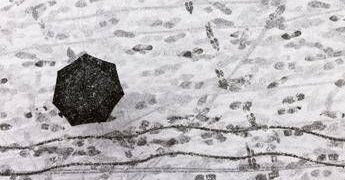 Dal freddo artico al tempestoso Maestrale: brusca svolta meteo sull’Italia