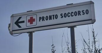 Due bambine azzannate da un cane randagio a Bari: una è in rianimazione