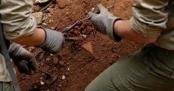 L’antenato dell’uomo camminava 7 milioni di anni fa, la scoperta che sposta i primi passi