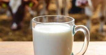 Latte crudo, la moda riprende quota in Usa. L’allarme dei medici: “Gravi rischi”