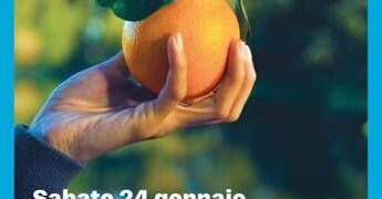 Le Arance Airc accendono la ricerca contro il cancro, scienziata tedofora e Goggia testimonial