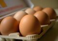 Le uova proteggono il cuore e allungano la vita, lo studio