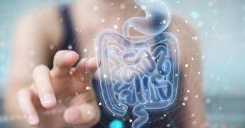 Malattie metaboliche, la svolta arriva dall’intestino: identificato batterio ‘protettivo’