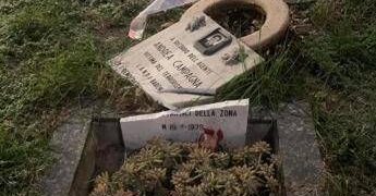 Maurizio Campagna: “Targa per mio fratello vandalizzata una vigliaccata”