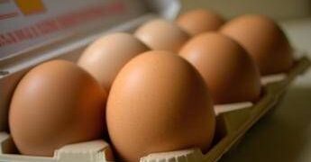 Quattro uova a settimana per ‘curare’ sistema nervoso, vista e pelle: cosa dice l’immunologo