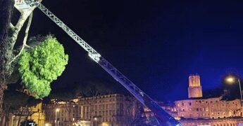 Roma, cade albero in via dei Fori Imperiali: nessun ferito