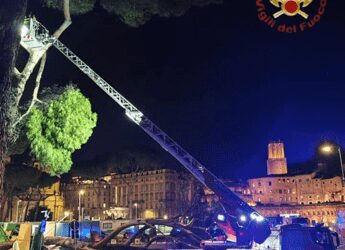 Roma, cade albero in via dei Fori Imperiali: nessun ferito