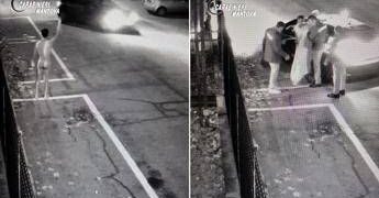 Vaga nudo e lascia droga davanti alla caserma dei carabinieri, 43enne denunciato