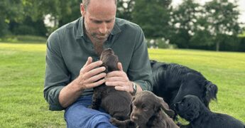 William e Kate condividono l’amore di Elisabetta II per i cani, James Middleton spiega perché
