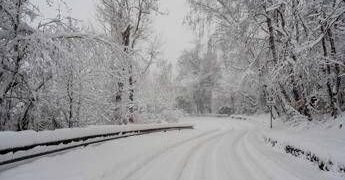 Bimbo lasciato a piedi dal bus, autista chiede scusa. Genitori: “La questione è chiusa”