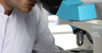 Cancro al seno, svolta per cure su misura dall’identikit del tumore resistente ai farmaci