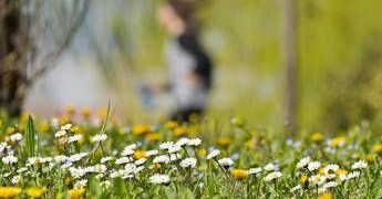 Colpo di coda dell’inverno, ma per Pasqua cambia tutto