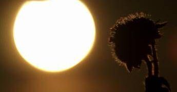 Eclissi solare parziale oggi 17 febbraio, dove si vede e a che ora