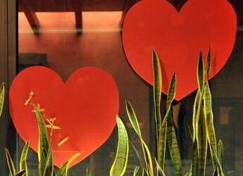 L’amore fa bene al cuore, lo dice la scienza: ecco cosa cambia se si è in coppia