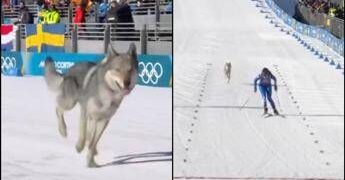 Milano Cortina, nella gara di sci di fondo spunta un lupo. Cos’è successo alle Olimpiadi