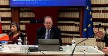 Riva (Cnel): “Puntiamo a obbligo tutela per pazienti fragili”