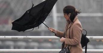 Roma, allerta arancione per forte vento: Gualtieri firma ordinanza