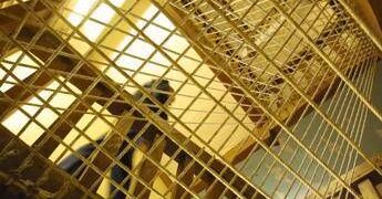 Salerno, la denuncia: l’omicida del panettiere di Sarno si fotografa in cella con il fratello