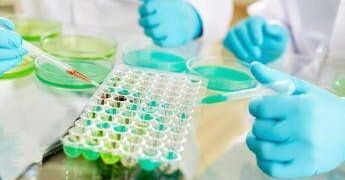 Studi no profit, nasce l’alleanza tra Fondazione Veronesi e Ficog