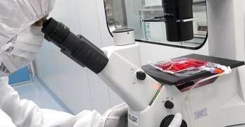 Studio del Bambino Gesù dimostra l’efficacia delle cellule Car-T nelle malattie autoimmuni dell’età pediatrica