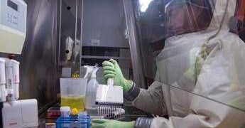 Virus Nipah, studio italiano: sorveglianza in tempo reale per prevenire nuovi focolai