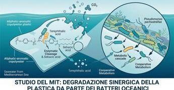 A batteri “spazzini” il compito di divorare la plastica negli oceani