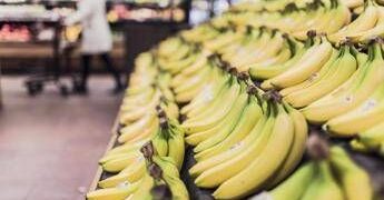 Banana tra potassio e rischio glicemia, meglio acerba o matura? Cosa dice l’esperto