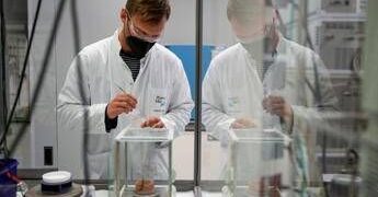 Carcinoma polmonare, ok Ema a lurbinectedina e immunoterapia in prima linea