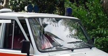 Colpito da un ramo mentre taglia albero, morto 48enne nel Bresciano