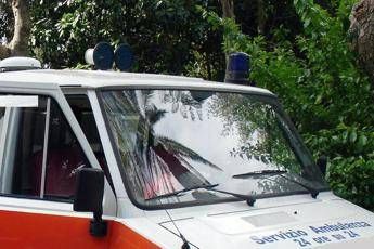 Colpito da un ramo mentre taglia albero, morto 48enne nel Bresciano